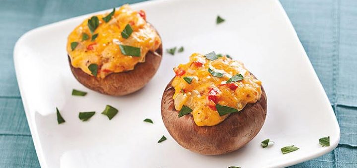 قارچ شکم پر