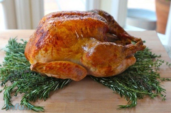 بوقلمون بریانی