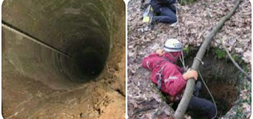 سوراخ های مرموز جنگل های متراکم روسیه