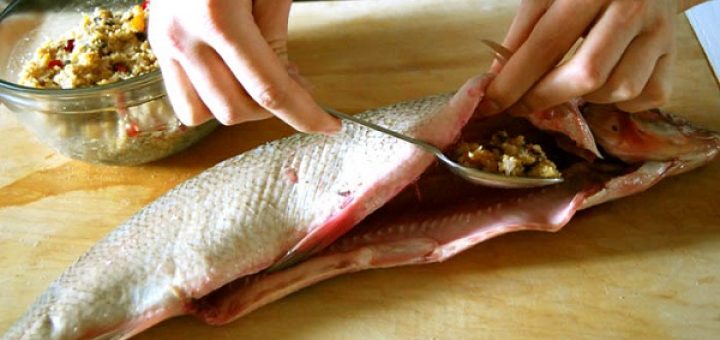 قزل آلاي شكم پُر