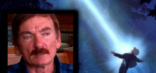 کارگر درخت بری در جنگل آریزونا