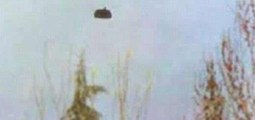 بشقاب پرنده‌ها در تپه‌های عباس آباد تهران