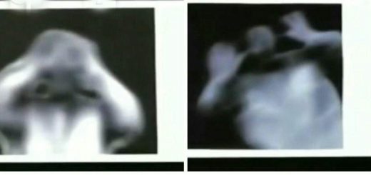 موجود بیگانه