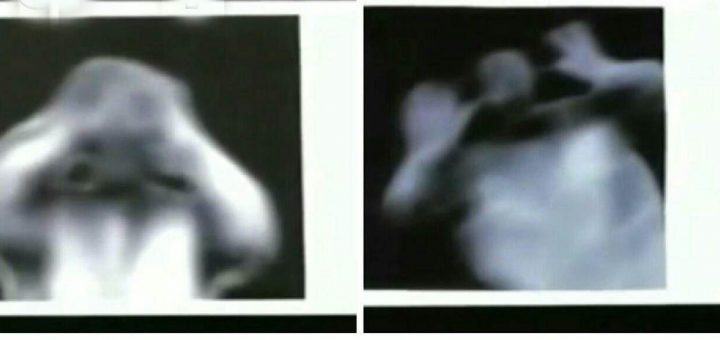 موجود بیگانه