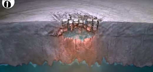 ما در این جهان تنها نیستیم