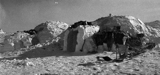 راز قبیله آنجیگونی