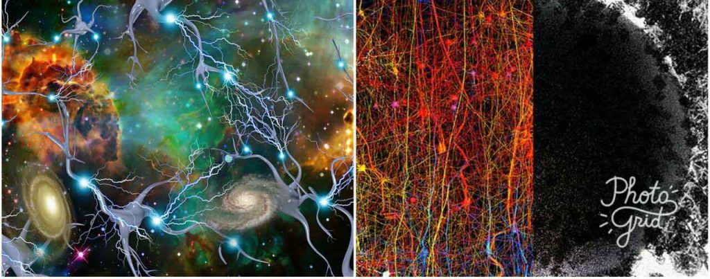 ساختارهای مغز انسان