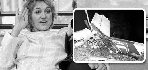 وسنا ولوویچ