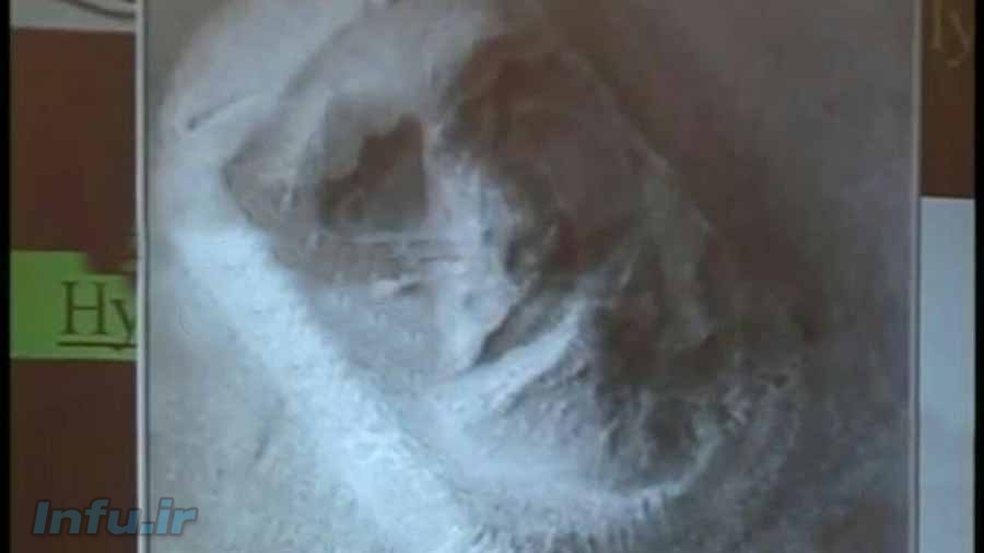 تصاویری عجیب از سطح مریخ