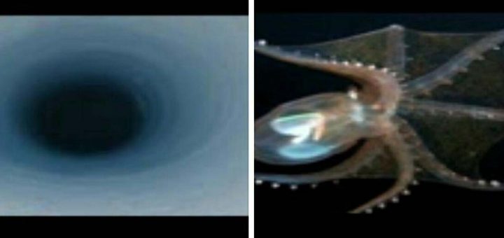 اخبار پارانورمال