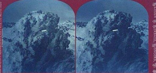 اشیا ناشناس پرنده