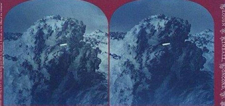 اشیا ناشناس پرنده