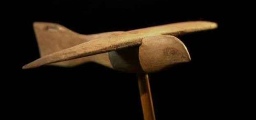 پرنده ساگار