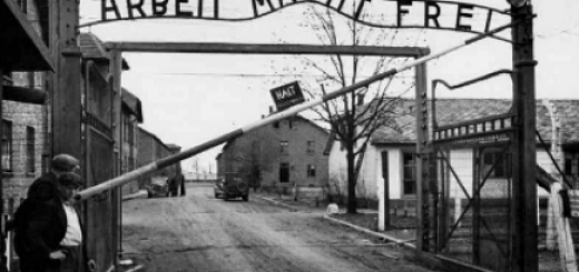 کمونیسم, کیمیاگری, تریسی آر توایمن, سوسیالیسم