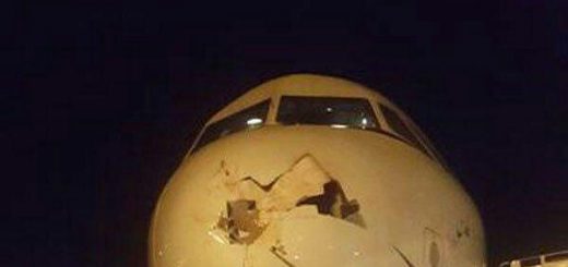 برخورد هواپیمای تفلیس به تهران با یک پرنده