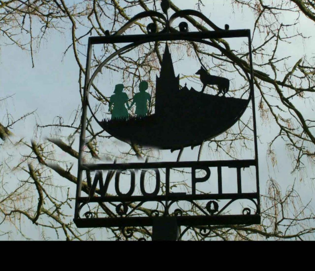 بچه های وول پیت