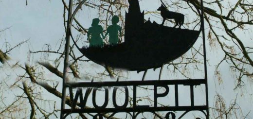 بچه های وول پیت