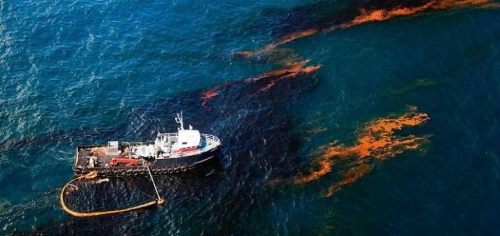 جرایم زیست محیطی