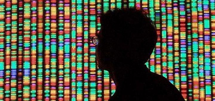 ذخیره اطلاعات ژنتیکی