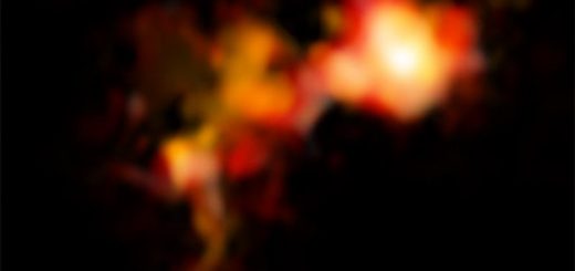 تصویر ALMA از دو هسته گازی، که در طول موج یون مولکولی N2D+ (متشکل از دو اتم نیتروژن و یک اتم دوتریوم) به تصویر کشیده شده‌اند. هسته سمت راست، درخشان‌تر و کروی‌تر است و این نشان می‌دهد که در شرف تشکیل یک ستاره سنگین‌وزن است – که اتفاقی نادر محسوب می‌شود. هسته دیگر، نامنظم‌تر و پراکنده‌تر است و احتمالاً از آن، چندین ستاره کم‌وزن‌تر حاصل شوند. این پراکندگی، در سیر تحولی ابرهای ستاره‌ساز، امری متداول است.