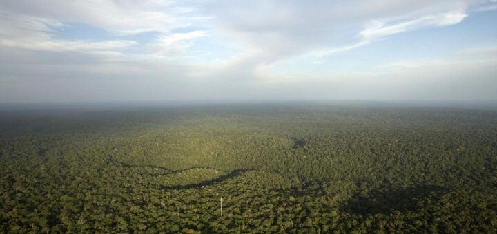 جنگل‌های آمازون. توسعه شهری و صنعتی چهره کره زمین را دگرگون کرده است.