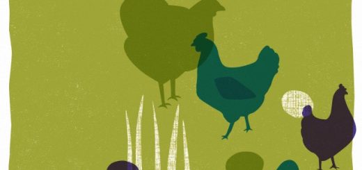 علت و معلول