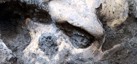 انسان اولیه