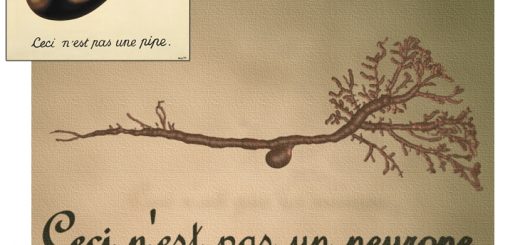 رنه مگریت، نقاش سورئالیست بلژیکی، در نقاشی مشهور «این یک پیپ نیست» (کادر کوچک)، در حالی تصویر یک پیپ را ترسیم کرده که به بیننده گوشزد می‌کند این نه یک پیپ حقیقی، بلکه «نقاشی» یک پیپ است. در سال 2008 میلادی نیز هرمان کونتز و همکارانش از یونیورسیتی‌کالج لندن، تصویری سه‌بعدی از یک سلول مغزی (نورون)، تهیه کرده و در زیر آن، به همان خط و زبان بلژیکی مگریت، نوشتند: “این یک نورون نیست”. کونتز در توضیح این تصویر می‌نویسد: “ما در اینجا به تأسی از مگریت، نشان داده‌ایم که با بازسازی ساختمان یک نورون، چیزی را ساخته‌ایم که یک نورون نیست: بلکه مدل یک نورون است”. به عبارت دیگر، عبارت “یک نورون” اصلاً ارجاعی به «حقیقت» نمی‌دهد؛ چراکه مؤلفه‌های ضمنی پنهانی در تفکیک «یک نورون» از کلّیت هستی یک موجود زندهْ دخیل‌اند که در پژوهش علمی، غالباً مدنظر قرار گرفته نمی‌شوند. انقلاب کوانتومی اوایل سده بیستم میلادی هم مشخص ساخت اگر حتی شکلی متشکل از تک‌تک اتم‌های سازنده جهان را هم ایجاد کنیم، باز بایستی در زیر آن نوشت: “این جهان نیست”