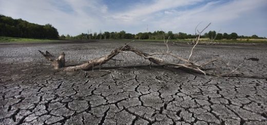 خشکسالی جهانی