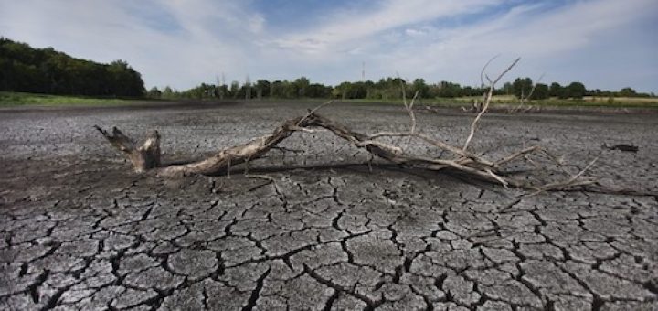 خشکسالی جهانی