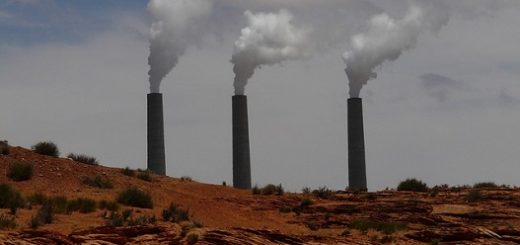 جنبش زیست محیطی