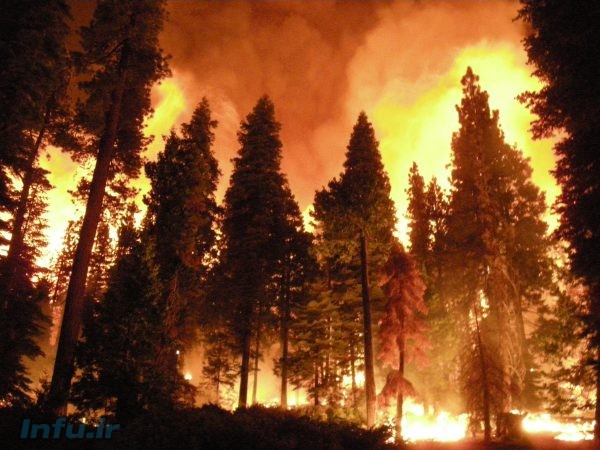 آتش سوزی های جنگلی