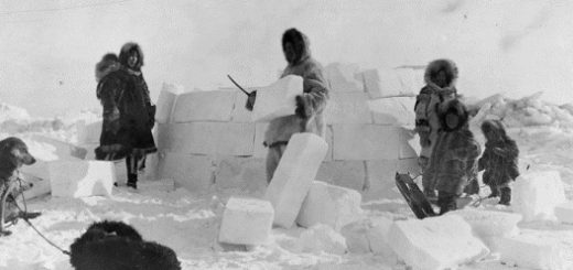 اینوئیت گروهی از مردم بومی در شمال کانادا و آمریکا و گرینلند هستند؛ اینوئیت جایگزینی برای اسکیمو است که به باور بومیان لفظی استعماری و تحقیر آمیز است