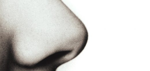 دماغ مردان از زنان بزرگتر است