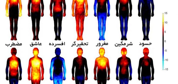 احساسات, احسان سنایی, دانشگاه آلتو, عصب پژوهی, فیزیولوژی