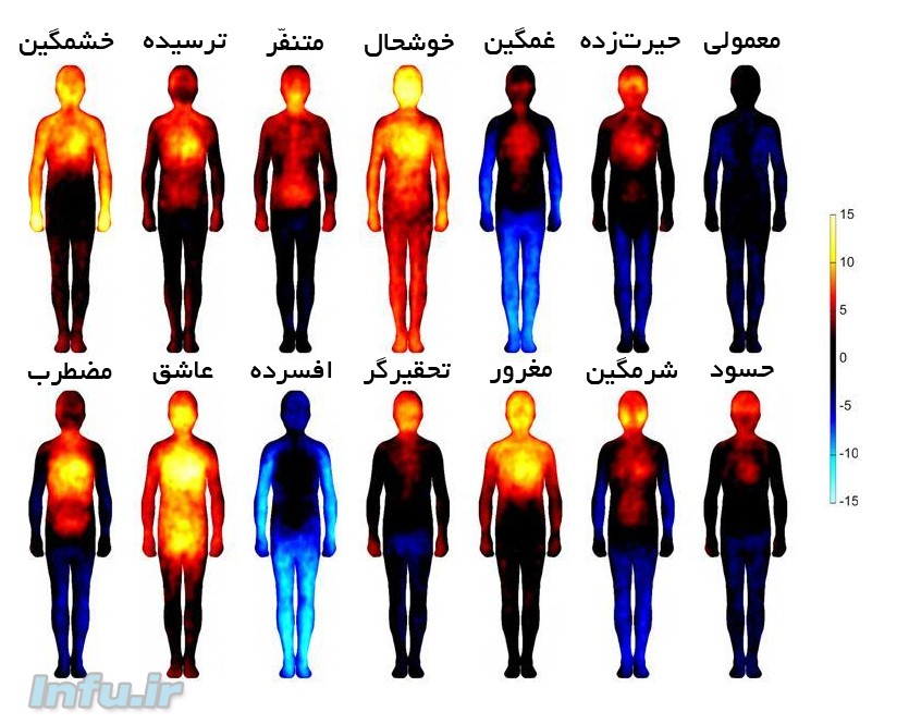  احساسات, احسان سنایی, دانشگاه آلتو, عصب پژوهی, فیزیولوژی