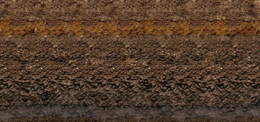 حاصلخیزی خاک