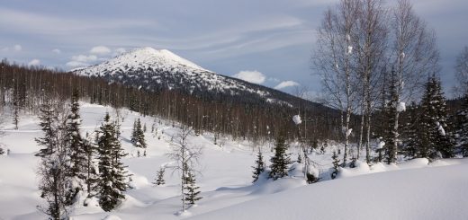 CC0: نمایی از زمستان در سیبری