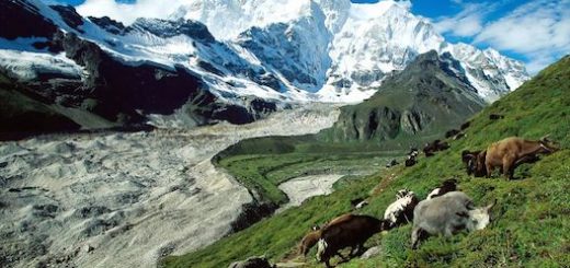 کوهستان‌های بدون یخچال