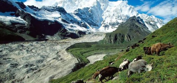 کوهستان‌های بدون یخچال