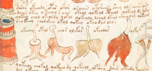  بخشی از دست‌نوشته‌های ووینیچ