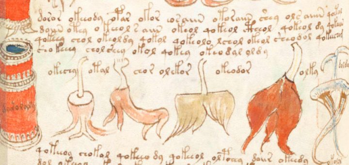  بخشی از دست‌نوشته‌های ووینیچ