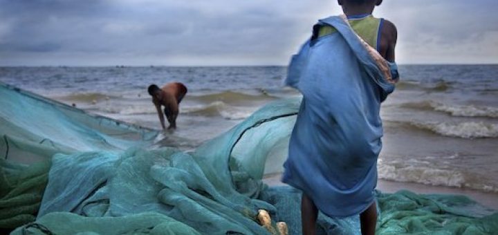 بسیاری ا زمصرف کنندگان اروپایی و آمریکایی نمی‌دانند محصولات مورد استفاده آن‌ها چگونه به دست آمده است