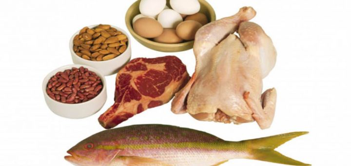 غذاهای دارای منبع حیوانی