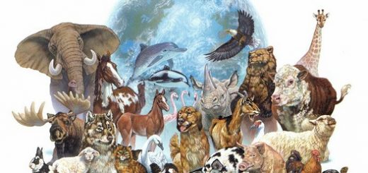 برخی پژوهشگران اعلام کرده‌اند که تا اواسط قرن پیش رو سی تا پنجاه درصد گونه‌های کنونی ناپدید خواهند شد