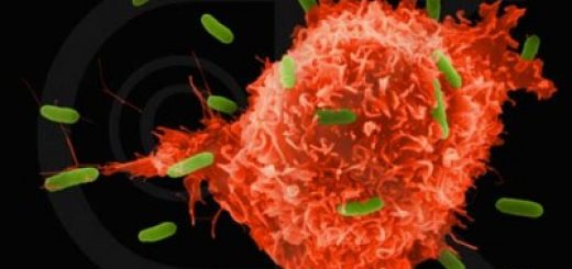 پیشگیری سرطان