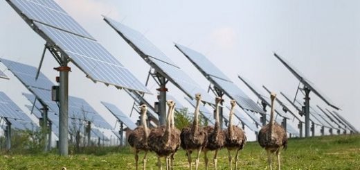 انرژی تجدیدپذیر