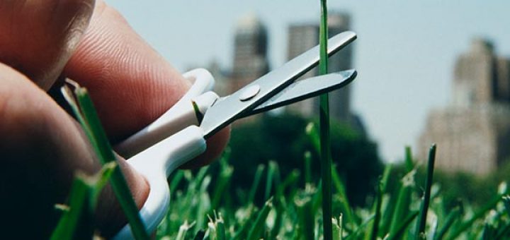 کمال گرا باشیم