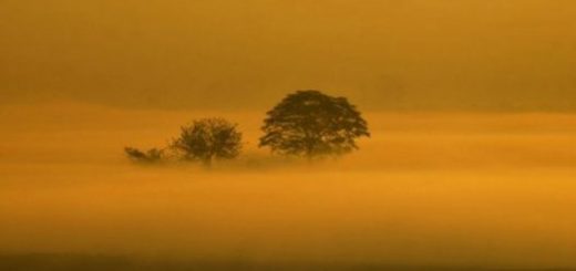 در صورت ادامه روند فعلی تا سال ۲۳۰۰ دمای قطب شمال تا ۲۰ درجه سانتی‌گراد افزایش خواهد یافت