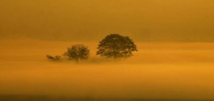 در صورت ادامه روند فعلی تا سال ۲۳۰۰ دمای قطب شمال تا ۲۰ درجه سانتی‌گراد افزایش خواهد یافت